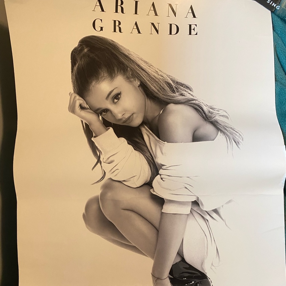 COPY - Ariana Grande My Everything Poster